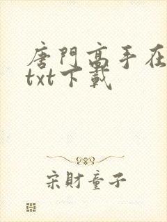 唐门高手在异世txt下载