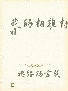 我的相亲对象是xl