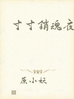 寸寸销魂夜春光