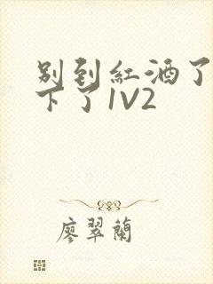 别到红酒了装不下了1V2