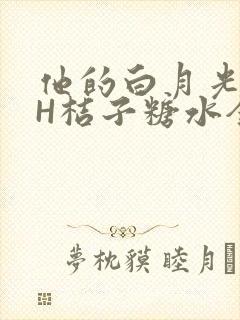 他的白月光HVH桔子糖水全文