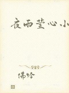 夜雨莹心小说