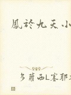 凤于九天小说