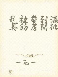 我被带到满是玩具的房间挑调作文