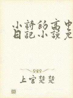 小诗的高中成长日记小说免费阅读