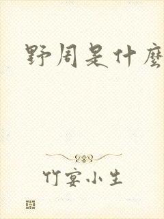 野周是什么意思