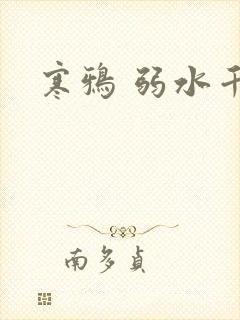 寒鸦 弱水千流