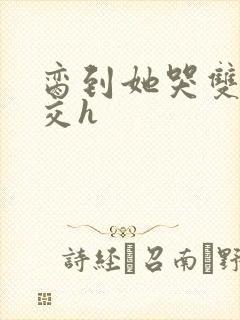 脔到她哭双根宫交h