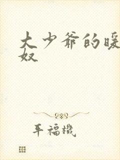 大少爷的暖床小奴