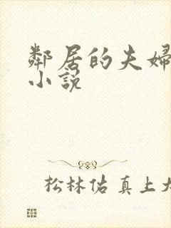 邻居的夫妇交换小说