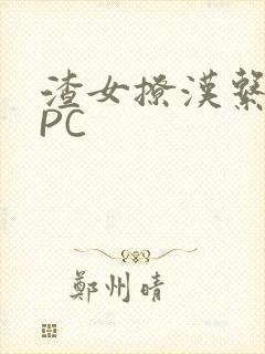 渣女撩汉系统NPC