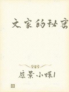 文家的秘密