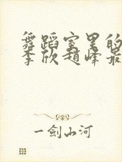 舞蹈室里的景色李欣赵峰最新章节