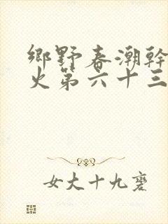 乡野春潮干柴烈火第六十三章