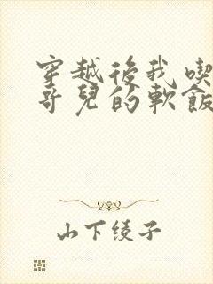 穿越后我吃到了哥儿的软饭炉山灰