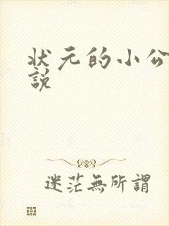 状元的小公主小说封面