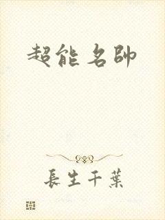 超能名帅