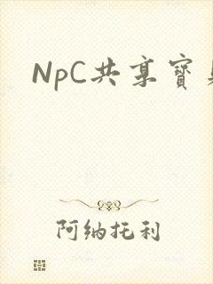 NpC共享宝贝
