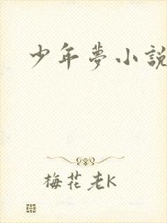 少年梦小说