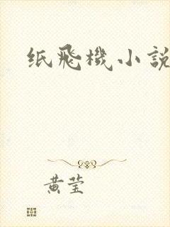 纸飞机小说