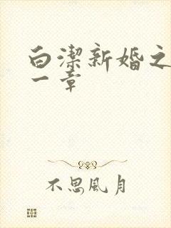 白洁新婚之夜第一章