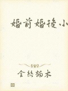 婚前婚后小说
