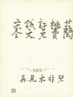 宋钱许桃花小说全文免费阅读