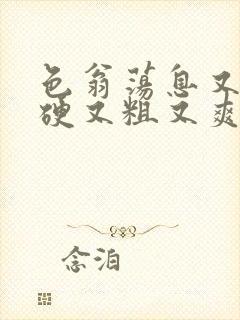 色翁荡息又大又硬又粗又爽