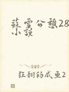 苏雪公憩28篇小说