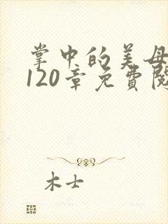 掌中的美母版主120章免费阅读