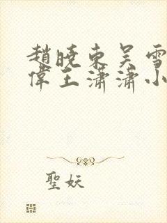 赵晓东吴雪晴郑伟王潇潇小说