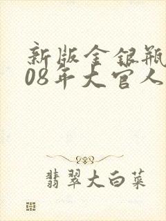 新版金银瓶2008年大官人