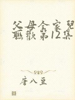 父母全家儿女大联欢第12集