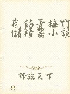 我的青梅竹马是储精器小说