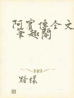 阿宾传全文阅读 笔趣阁