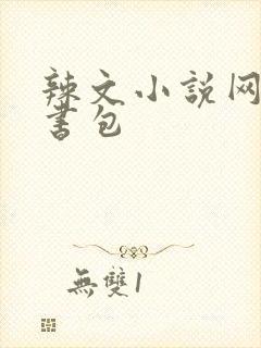 辣文小说网第二书包