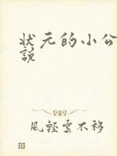 状元的小公主小说