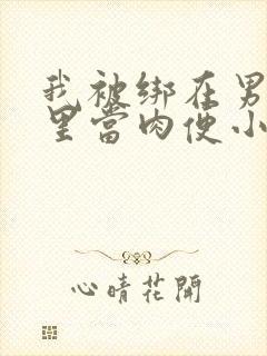 我被绑在男公厕里当肉便小说