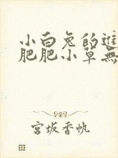 小白兔的进化史肥肥小草无防盗