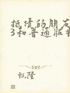 抵债的朋友麦子3和普通版对比