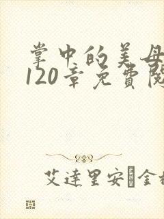 掌中的美母版主120章免费阅读