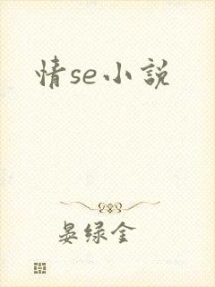 情se小说