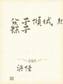 公子倾城 维和粽子