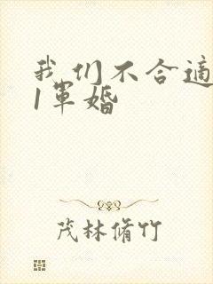 我们不合适1v1军婚