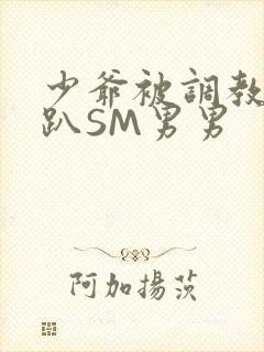 少爷被调教室跪趴SM男男