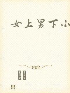 女上男下小说