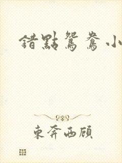 错点鸳鸯小说