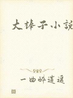 大棒子小说封面