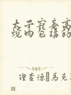 太子宠妾高肉红烧肉包讲的什么封面