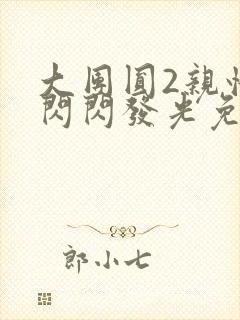 大团圆2亲情会闪闪发光免费